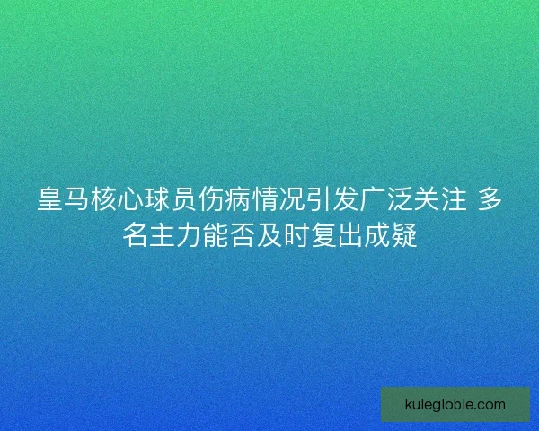 皇马核心球员伤病情况引发广泛关注 多名主力能否及时复出成疑